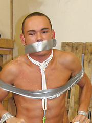fetish,shaved,solo,teens,toys
